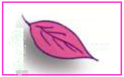 Premio Immagini Amiche